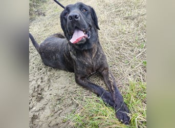 Gustav ein großer Bub