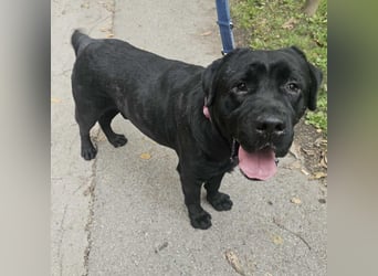 Joey ist traurig Joey ist traurig