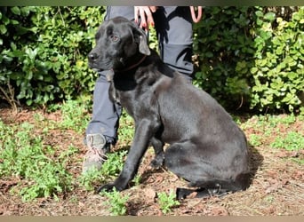 Drift - der Wald, in dem die Träume wohnen...