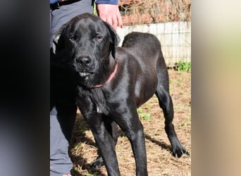 Drift - der Wald, in dem die Träume wohnen...