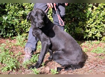 Drift - der Wald, in dem die Träume wohnen...