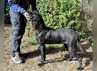 Drift - der Wald, in dem die Träume wohnen...