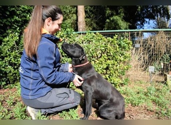 Drift - der Wald, in dem die Träume wohnen...