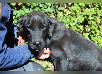 Drift - der Wald, in dem die Träume wohnen...