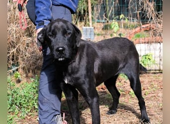 Drift - der Wald, in dem die Träume wohnen...