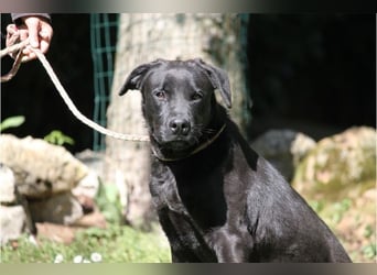 Drift - der Wald, in dem die Träume wohnen...