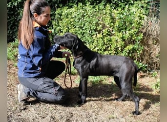 Drift - der Wald, in dem die Träume wohnen...