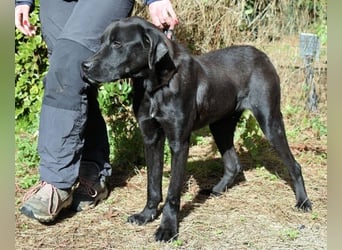 Drift - der Wald, in dem die Träume wohnen...