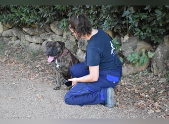 Devvon - Kurz zusammengefasst: Devvon ist eine Perle