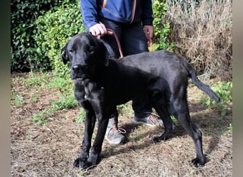 Drift - der Wald, in dem die Träume wohnen...