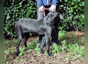 Drift - der Wald, in dem die Träume wohnen...