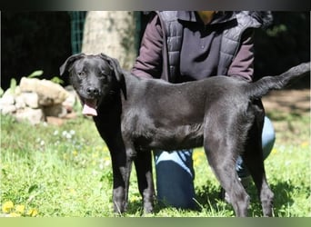 Drift - der Wald, in dem die Träume wohnen...