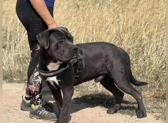 Lennox verliert unverschuldet sein Zuhause