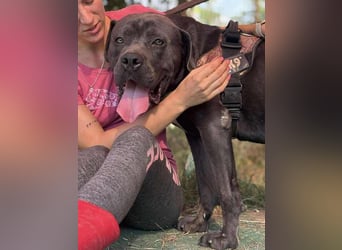 Lennox verliert unverschuldet sein Zuhause