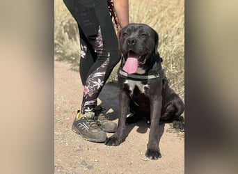 Lennox verliert unverschuldet sein Zuhause