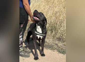 Lennox verliert unverschuldet sein Zuhause