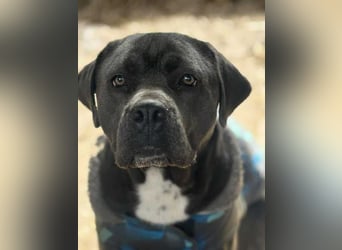 Lennox verliert unverschuldet sein Zuhause