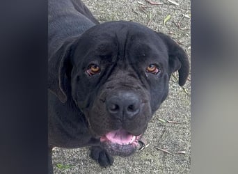 Nika: „Wo sind meine Menschen?“