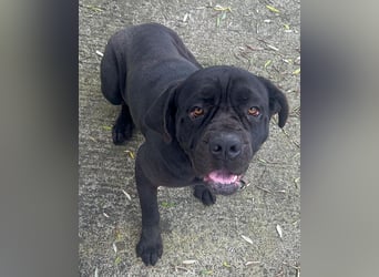 Nika: „Wo sind meine Menschen?“