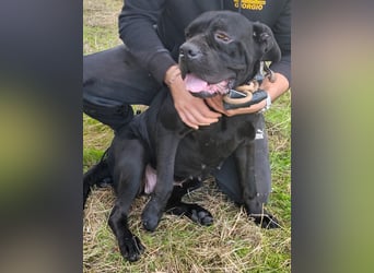 Nika: „Wo sind meine Menschen?“