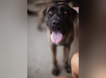 Edna eine sensible Seele. Edna eine sensible Seele.