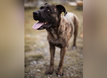 Edna eine sensible Seele. Edna eine sensible Seele.