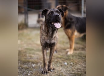 Edna eine sensible Seele. Edna eine sensible Seele.