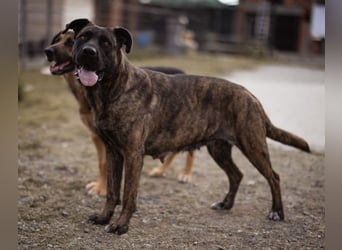 Edna eine sensible Seele. Edna eine sensible Seele.