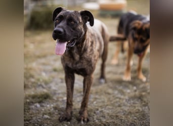 Edna eine sensible Seele. Edna eine sensible Seele.