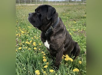 Aron ein sehr kräftiger Bub