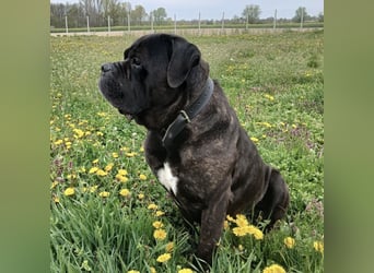 Aron ein sehr kräftiger Bub