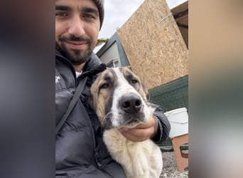 TANO - wo findet er sein Glück?