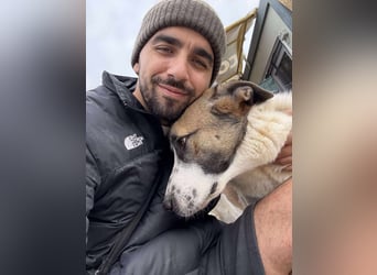 TANO - wo findet er sein Glück?