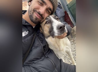 TANO - wo findet er sein Glück?