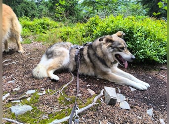 Coole Socke möchte im neuen Jahr mit dir auf Tour gehen!