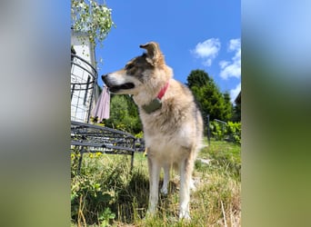 Coole Socke möchte im neuen Jahr mit dir auf Tour gehen!