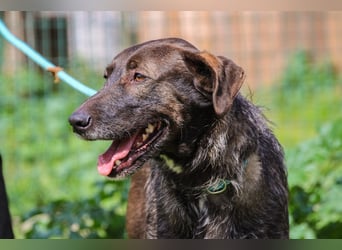 •J•A•Z•Z• | :-) | Ein Schätzchen wartet auf seine Menschen!