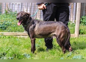 •J•A•Z•Z• | :-) | Ein Schätzchen wartet auf seine Menschen!