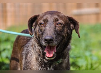 •J•A•Z•Z• | :-) | Ein Schätzchen wartet auf seine Menschen!