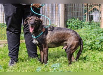 •J•A•Z•Z• | :-) | Ein Schätzchen wartet auf seine Menschen!