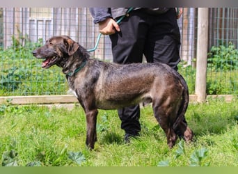 •J•A•Z•Z• | :-) | Ein Schätzchen wartet auf seine Menschen!