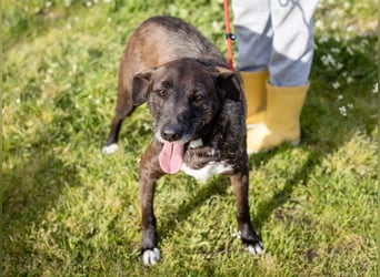•J•A•Z•Z• | :-) | Ein Schätzchen wartet auf seine Menschen!