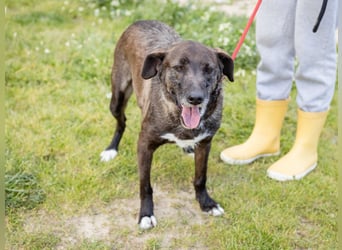 •J•A•Z•Z• | :-) | Ein Schätzchen wartet auf seine Menschen!