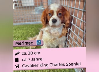Merimac