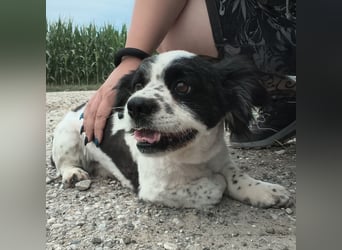 Tikki ein kleiner Sonnenschein