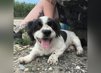 Tikki ein kleiner Sonnenschein