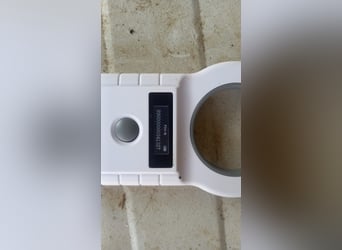 Honey2 PP – Hündin sucht liebevolles Für-immer-Zuhause