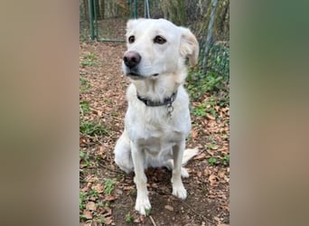 Miranda - Familie fürs Leben gesucht (82041 Deisenhofen)