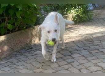 Lina möchte endlich ankommen (67459 Böhl-Iggelheim)