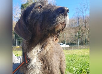 Nico: wann scheint für ihn die Sonne?